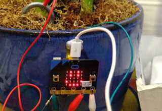 tecnologia para niños en bilbao. Micro:bit, happy plant
