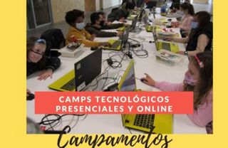 camps verano online presencial