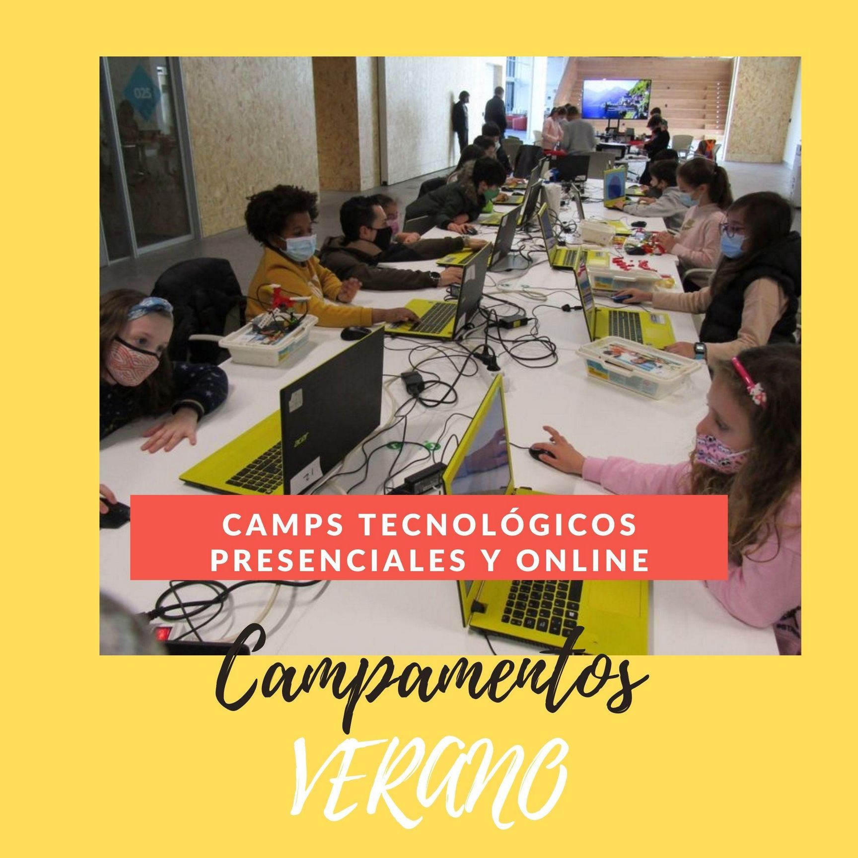 camps verano online presencial